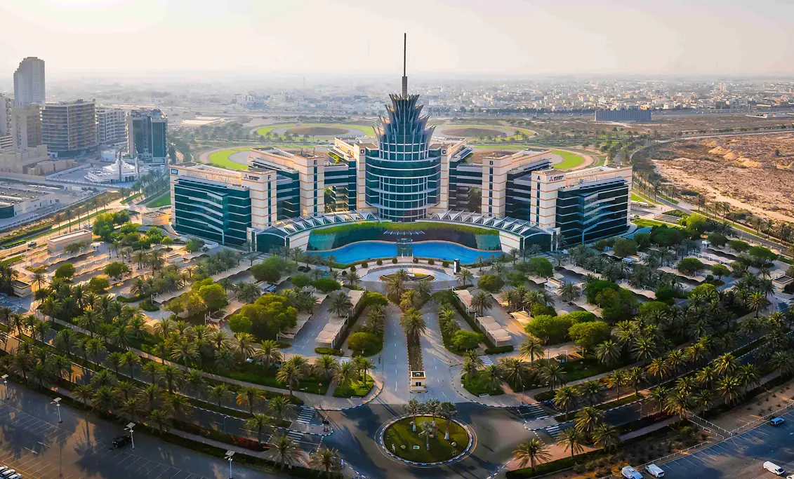 迪拜硅谷（DSO）