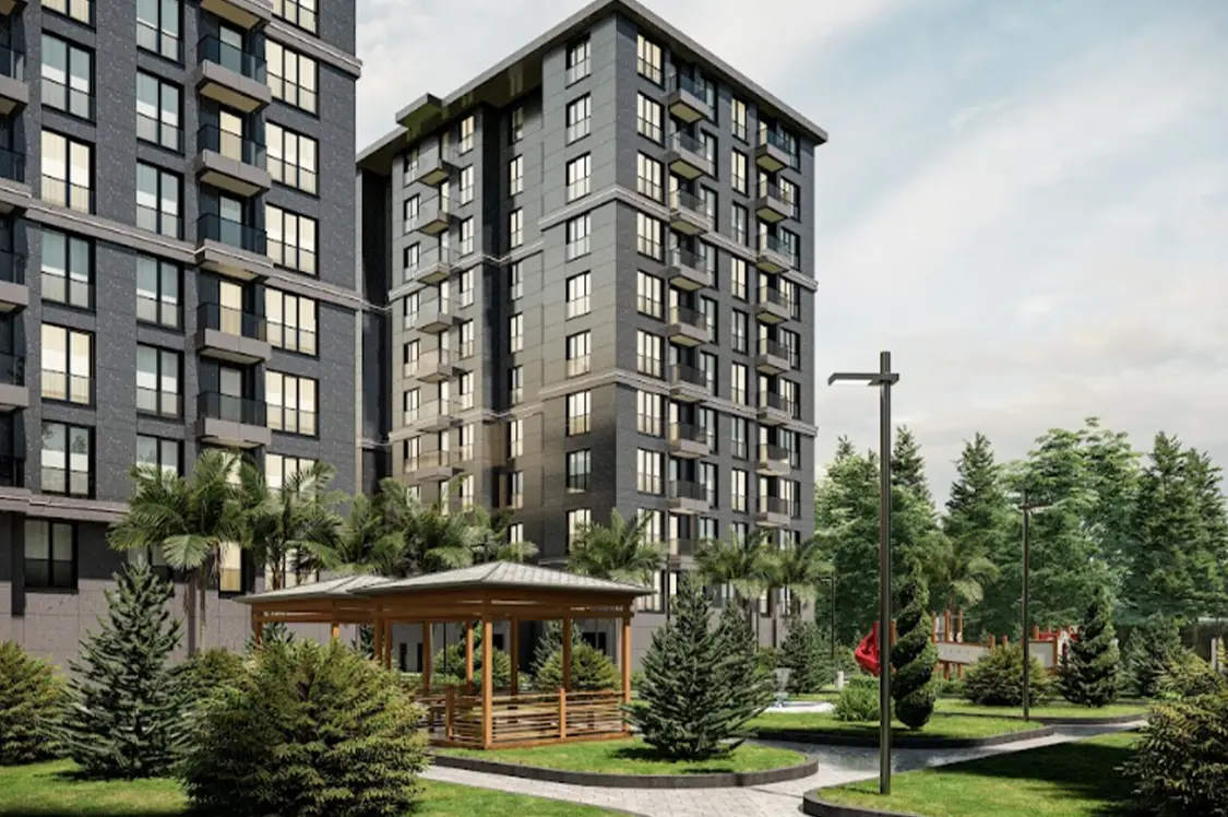 埃于普苏丹绿色生活