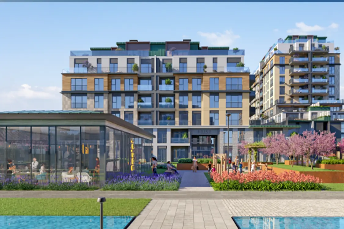 埃布鲁利·卡亚谢希尔