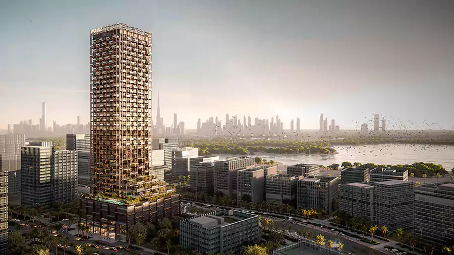 THE SYMPHONY by Imtiaz