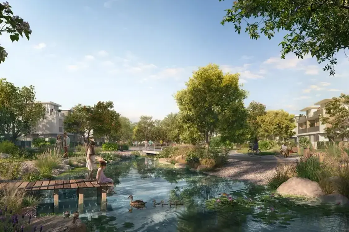 Авелия в Долине